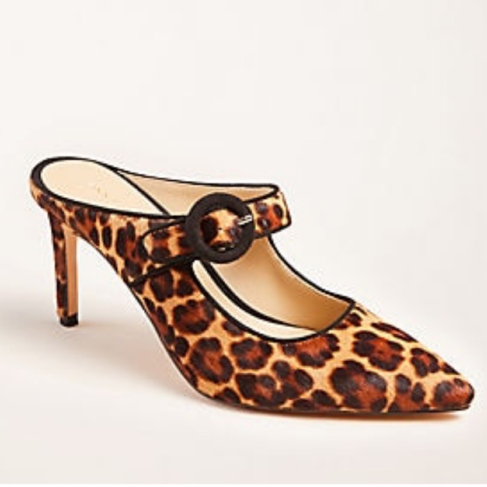 Blaine Leopard Print Haircalf Buckle Mule Pumps